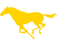 定制培训